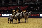 Quadrille - 00712